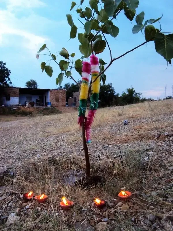 peace-prayer-in-jadan-ashram bodyImage